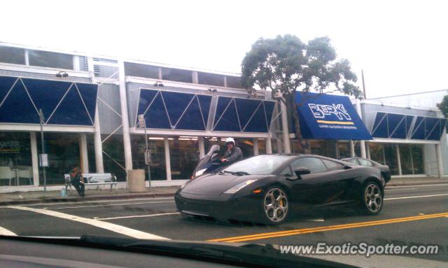 Lamborghini Gallardo spotted in Santa Monica, California