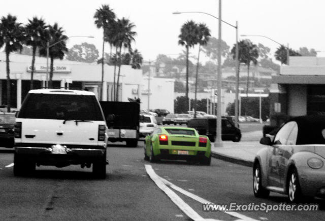 Lamborghini Gallardo spotted in Newport Beach, California