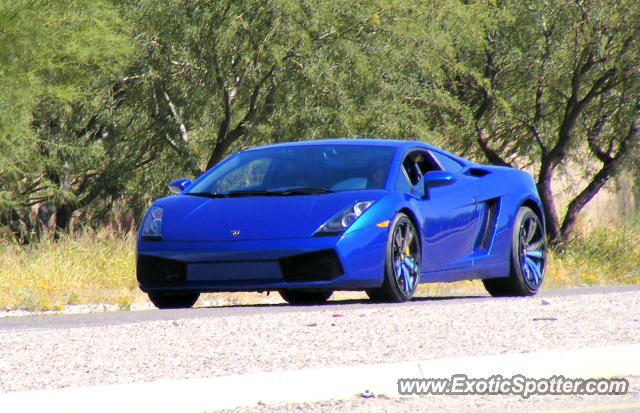 Lamborghini Gallardo spotted in Tucson, Arizona