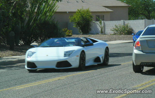 Lamborghini Murcielago spotted in Tucson, Arizona