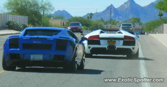 Lamborghini Murcielago spotted in Tucson, Arizona