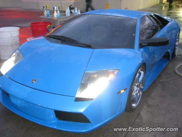 Lamborghini Murcielago spotted in Atlanta, Georgia