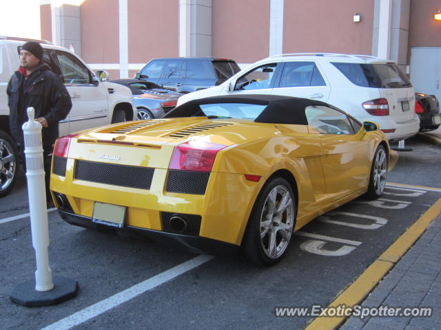 Lamborghini Gallardo spotted in Paramus, New Jersey