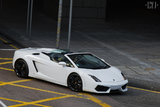 Lamborghini Gallardo