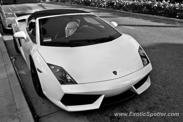 Lamborghini Gallardo spotted in Beverly Hills, California