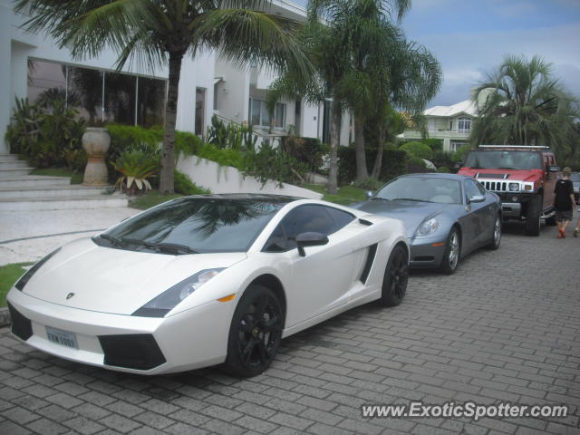 Lamborghini Gallardo spotted in Florianopolis, Brazil