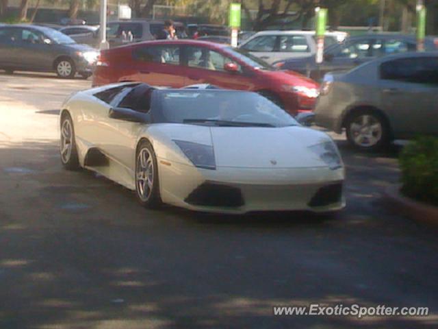 Lamborghini Murcielago spotted in Miami, Florida