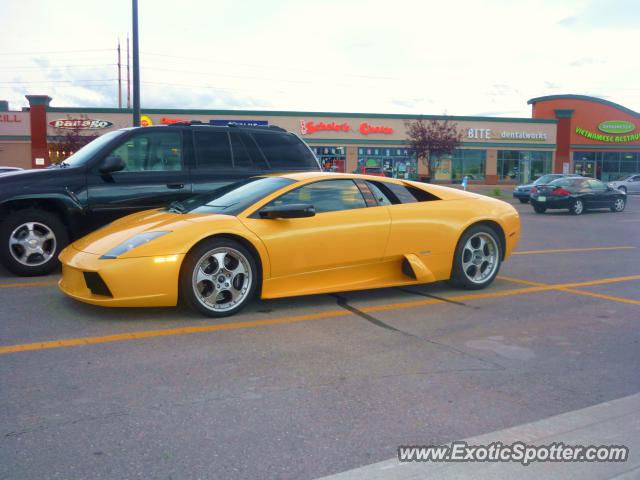 Lamborghini Murcielago spotted in Calgary, Canada