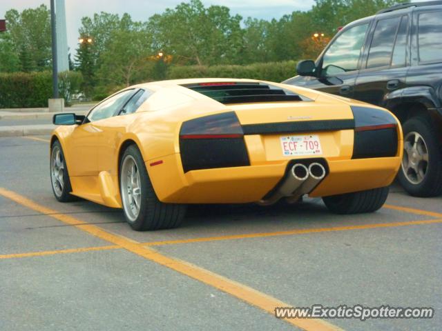 Lamborghini Murcielago spotted in Calgary, Canada