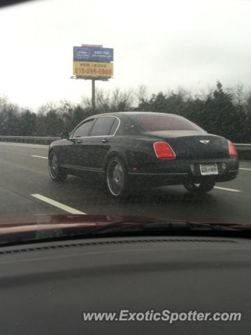 Bentley Continental spotted in Smyrna, Tennessee