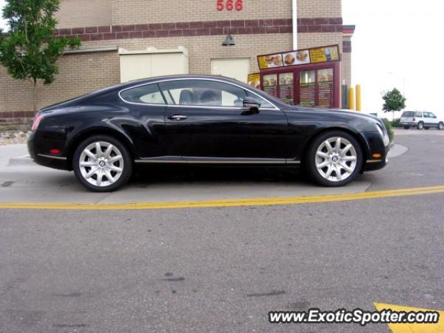 Bentley Continental spotted in Castle Pines, Colorado