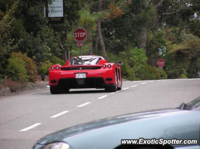 Ferrari Enzo spotted in San Jose, California