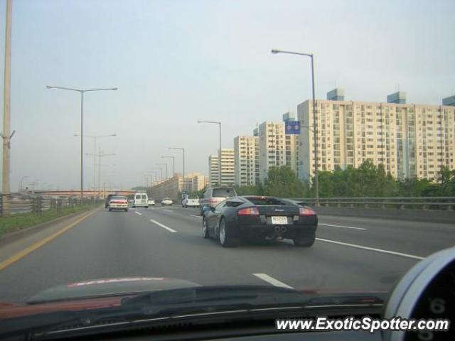Lamborghini Murcielago spotted in Seoul, South Korea