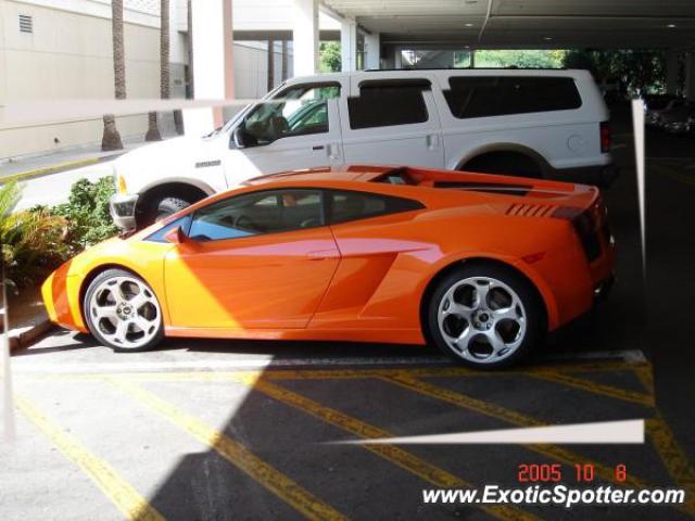 Lamborghini Gallardo spotted in Phoenix, Arizona