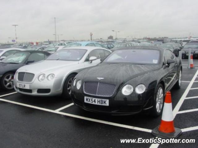 Bentley Continental spotted in Hounslow, United Kingdom