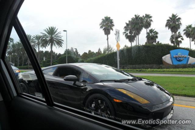 Lamborghini Gallardo spotted in Orlando, Florida