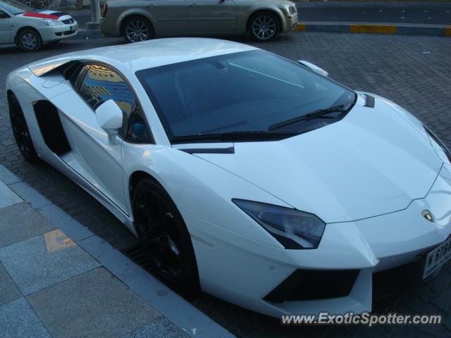 Lamborghini Aventador spotted in Abu Dhabi, United Arab Emirates