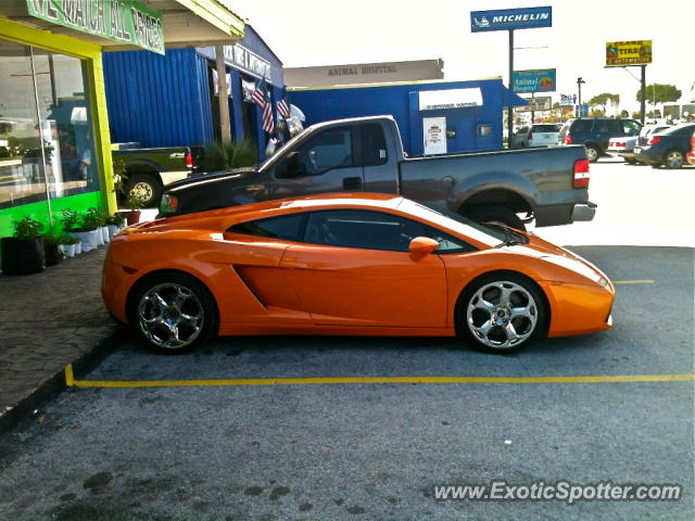 Lamborghini Gallardo spotted in Wintergarden, Florida