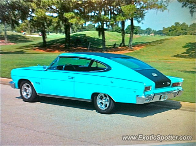 Other Vintage spotted in Windermere, Florida