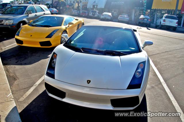 Lamborghini Gallardo spotted in La Jolla, California