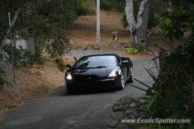 Lamborghini Gallardo spotted in Carmel Highlands, California, United States