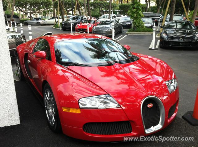Bugatti Veyron spotted in Bal Harbour, Florida