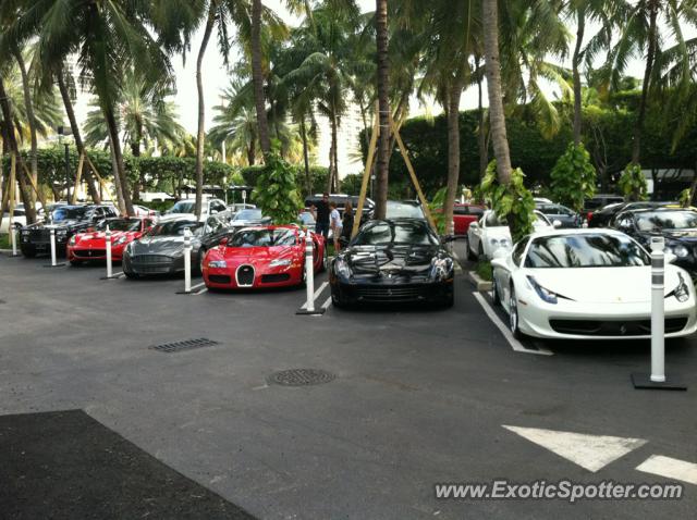 Bugatti Veyron spotted in Bal Harbour, Florida