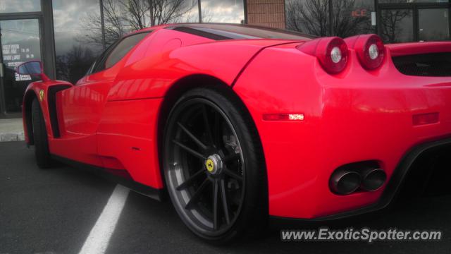 Ferrari Enzo spotted in Parsippany, New Jersey