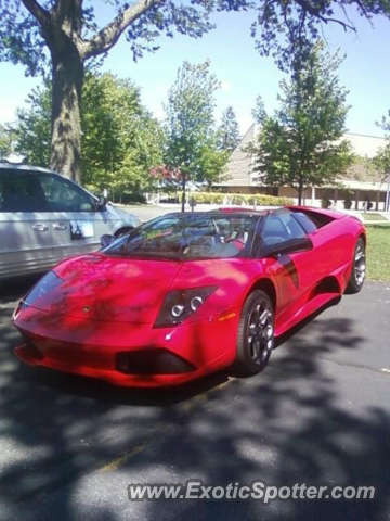 Lamborghini Murcielago spotted in Dellwood, Minnesota
