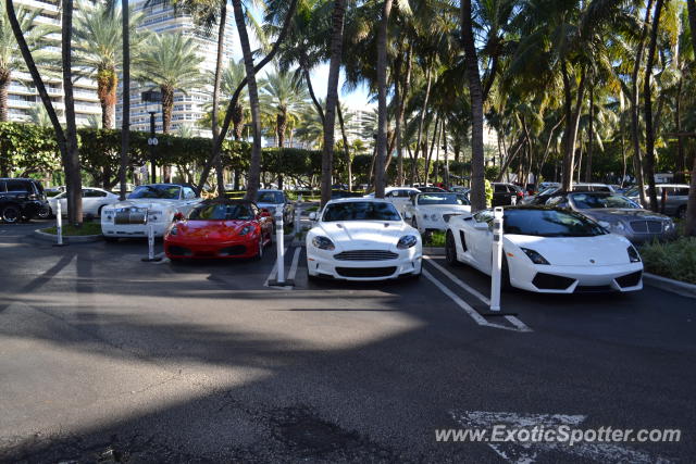 Lamborghini Gallardo spotted in Miami, Florida