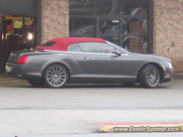 Bentley Continental spotted in Verona, New Jersey