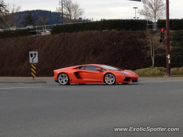 Lamborghini Aventador spotted in Victoria, BC, Canada