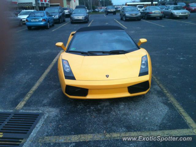 Lamborghini Gallardo spotted in Jacksonville , Florida