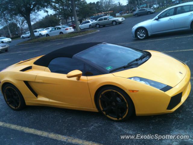 Lamborghini Gallardo spotted in Jacksonville , Florida