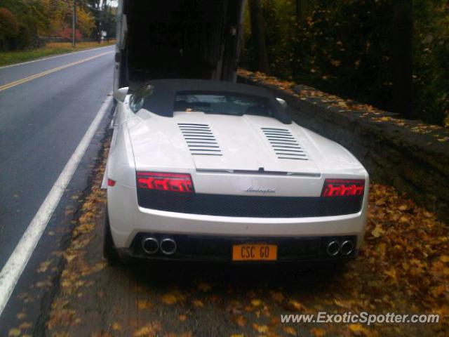 Lamborghini Gallardo spotted in Huntington, New York