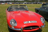 Jaguar E-Type