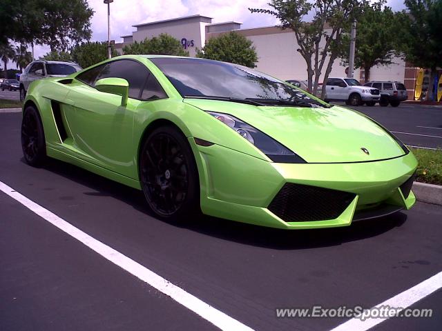 Lamborghini Gallardo spotted in Orlando, FL, Florida