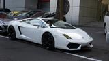Lamborghini Gallardo