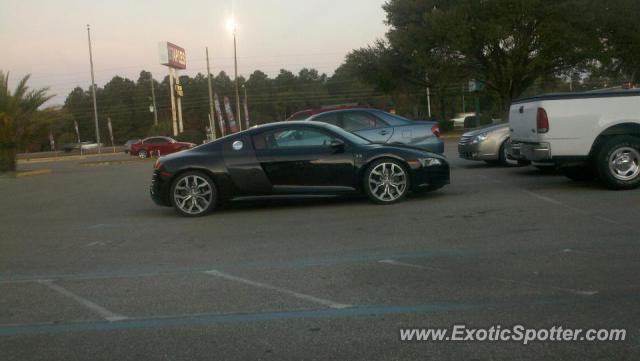 Audi R8 spotted in Spring Hill, Florida