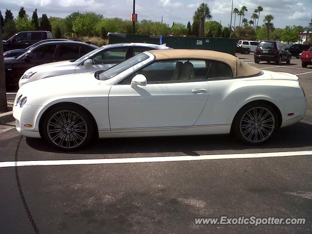 Bentley Continental spotted in Tampa, Florida