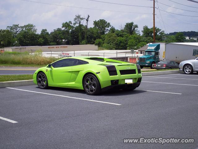 Lamborghini Gallardo spotted in Harrisburg, Pennsylvania
