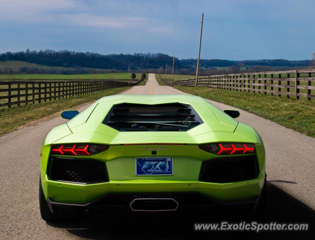 Lamborghini Aventador spotted in Franklin, Tennessee