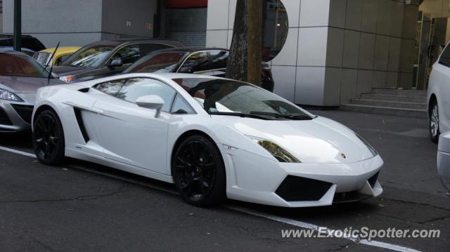 Lamborghini Gallardo spotted in Mexico City, Mexico