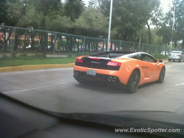 Lamborghini Gallardo spotted in Mexico City, Mexico