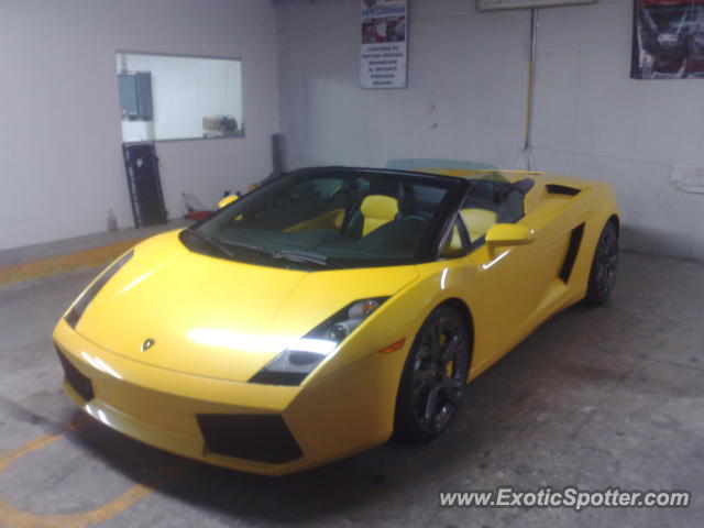 Lamborghini Gallardo spotted in Guadalajara, Mexico