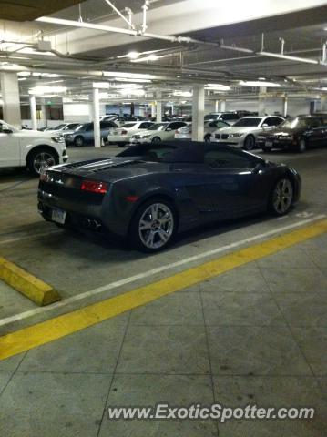 Lamborghini Gallardo spotted in Woodland Hills, California