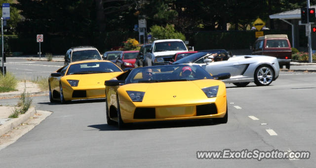 Lamborghini Murcielago spotted in Carmel, California