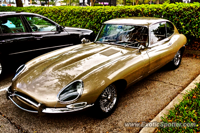 Jaguar E-Type spotted in Windermere, Florida