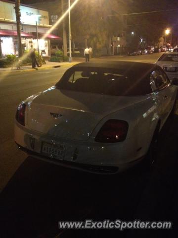 Bentley Continental spotted in Miami, Florida