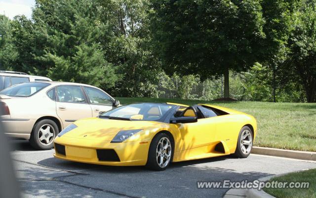 Lamborghini Murcielago spotted in Frederick, Maryland
